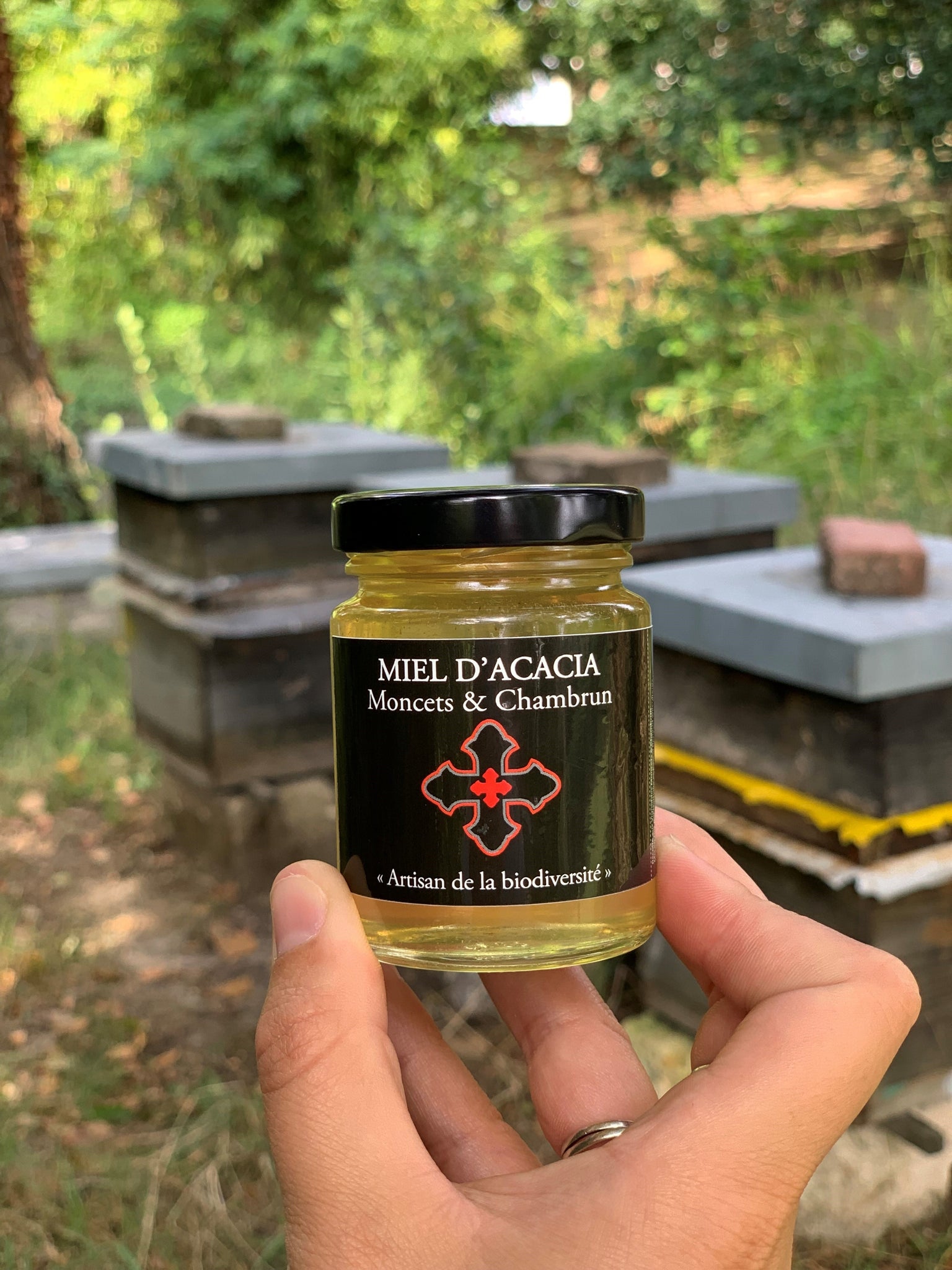 Miel d'acacia Moncets & Chambrun